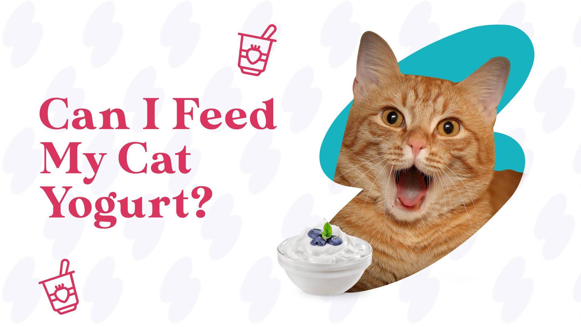 Can i give on sale my cat yogurt