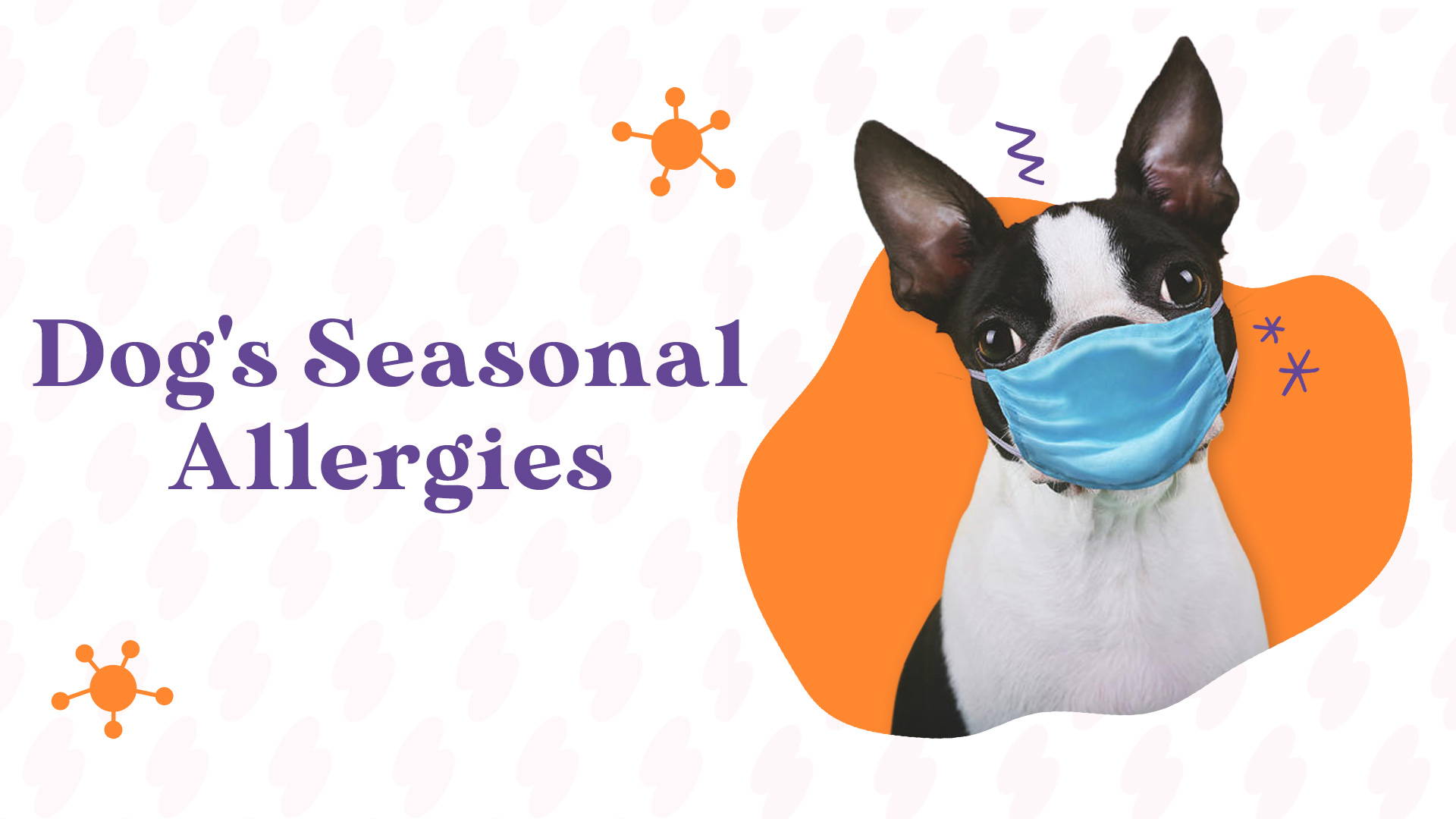 is-your-dog-suffering-from-seasonal-allergies-pawsionate