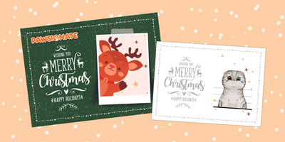 Christmas Greeting Cards For Everyone You Love
