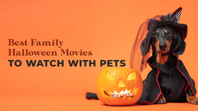 Best Family Halloween Movies to Watch with Pets