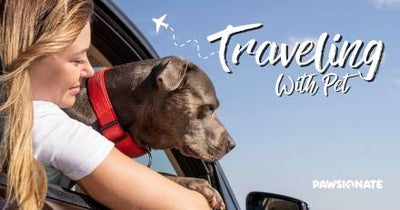 Traveling with Pets: A Comprehensive Guide for Pet Owners