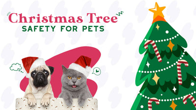 Christmas Tree Safety Tips for Dogs and Cats