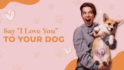 7 Ways to Say “I Love You” to Your Dog