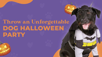 How to Throw an Unforgettable Dog Halloween Party