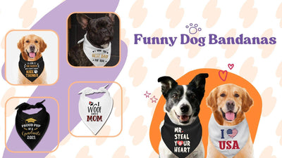 The Ultimate Collection Of Funny Dog Bandanas For Your Paws