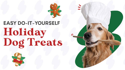 Easy Holiday Dog Treats