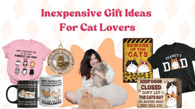 Amazing Inexpensive Gifts for Cat Lovers