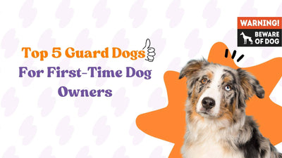 Top 5 Best Guard Dogs For First Time Owners