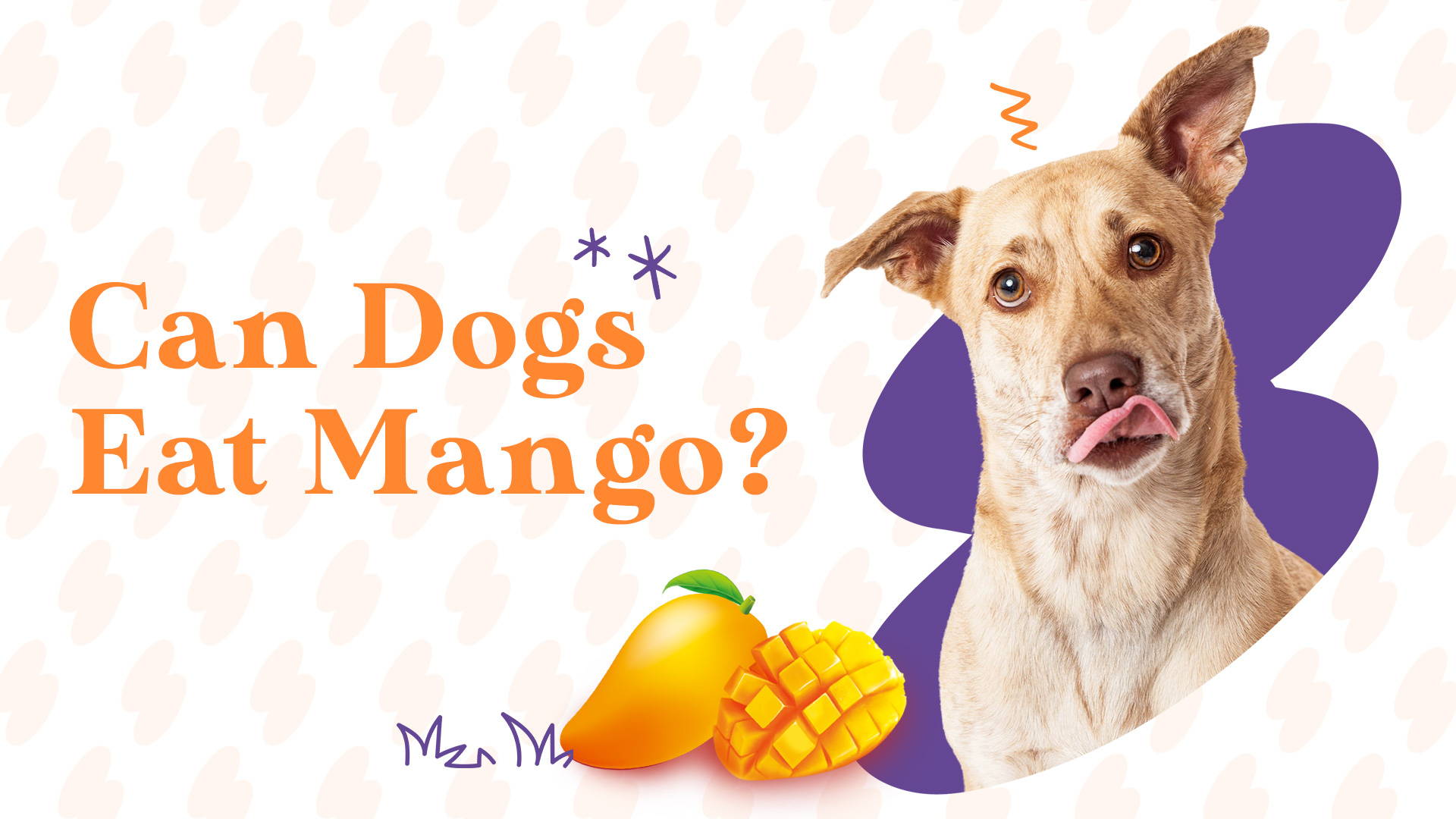 Can Dogs Eat Mango? – PAWSIONATE