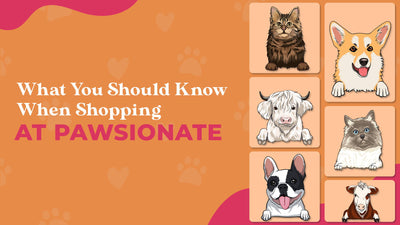 What You Should Know When Shopping at Pawsionate