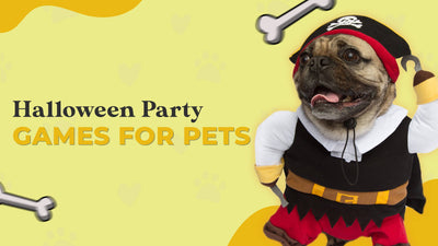 5 Fun Halloween Party Games for Pets