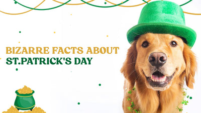7 Bizarre St Patrick’s Day Facts