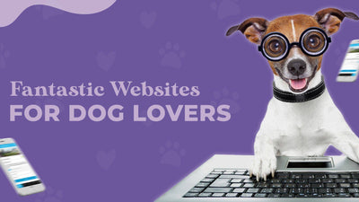 5 Fantastic Websites For Dog Lovers and A Sweet Bonus