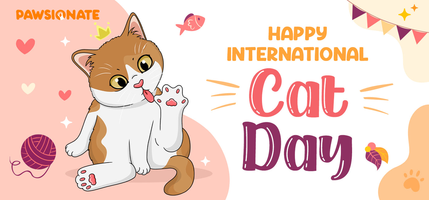 CAT DAY COLLECTION: PHOTO CONTEST ANNOUNCEMENT