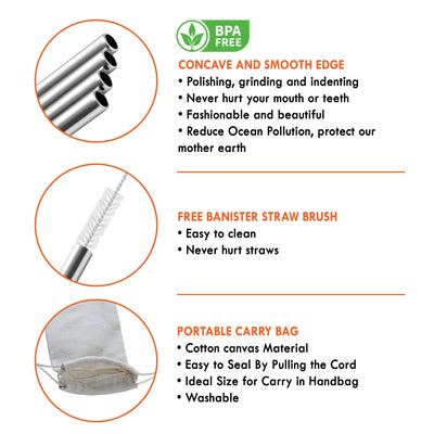 Combo Stainless Steel Straw and Cleaning Brushes