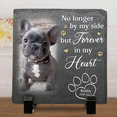 I Loved You Whole Life - Personalized Custom Pet Memorial Stone