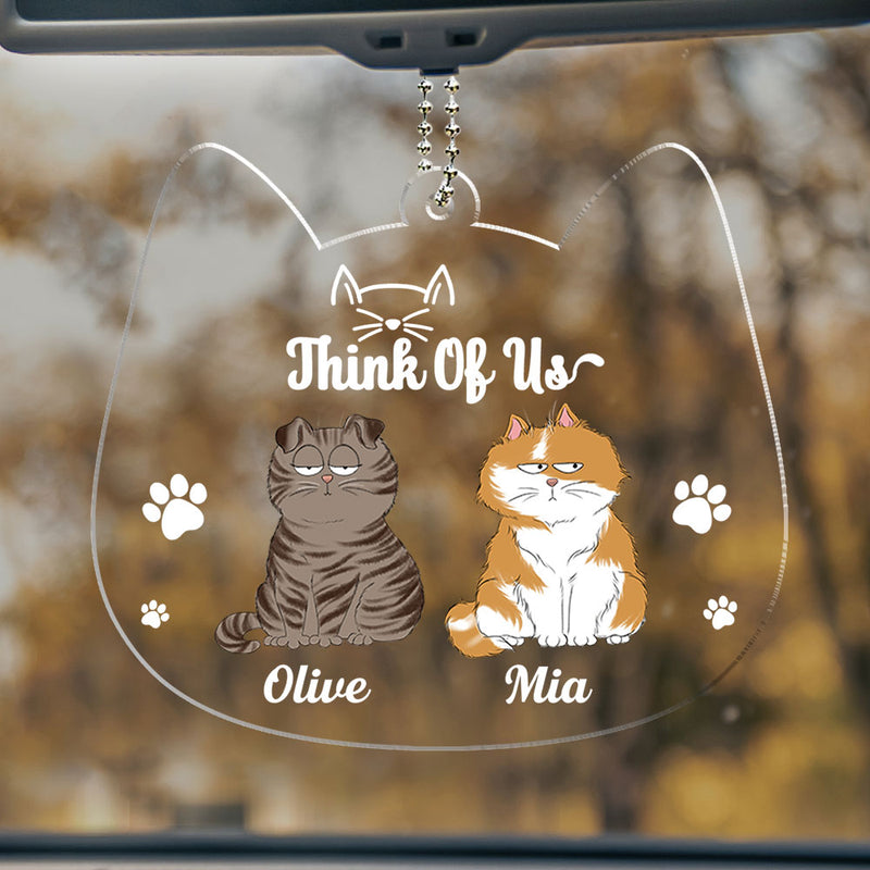 Drive Safe Hooman - Personalized Custom Acrylic Ornament