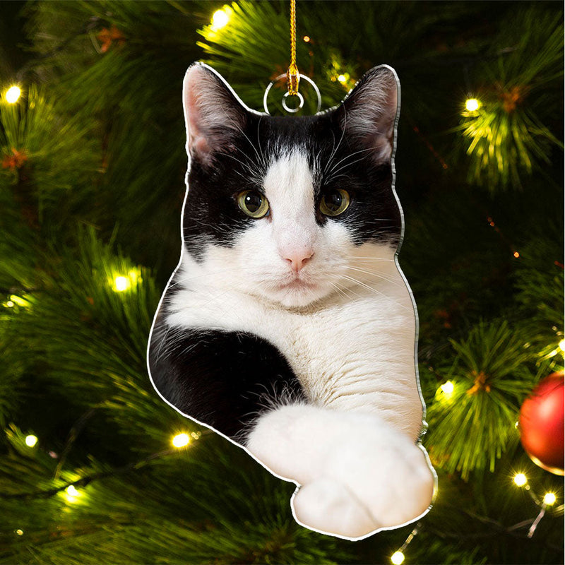 Custom Photo Cat Christmas - Personalized Custom Acrylic Ornament