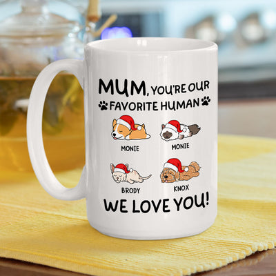 Favorite Pet - Personalized Custom Coffee Mug