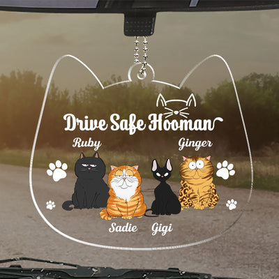 Drive Safe Hooman - Personalized Custom Acrylic Ornament