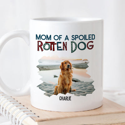 Dad Of A Spoiled Rotten Dog - Personalized Custom Coffee Mug