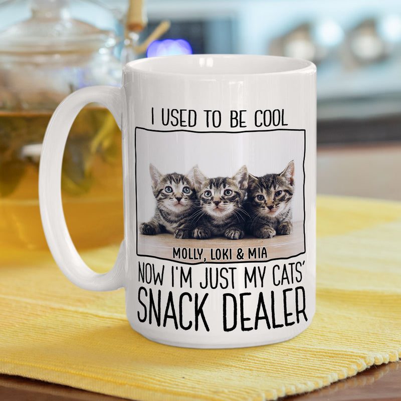 Just A Pet Snack Dealer Photo - Personalized Custom Coffee Mug