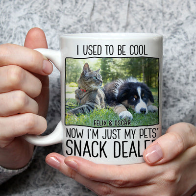 Just A Pet Snack Dealer Photo - Personalized Custom Coffee Mug