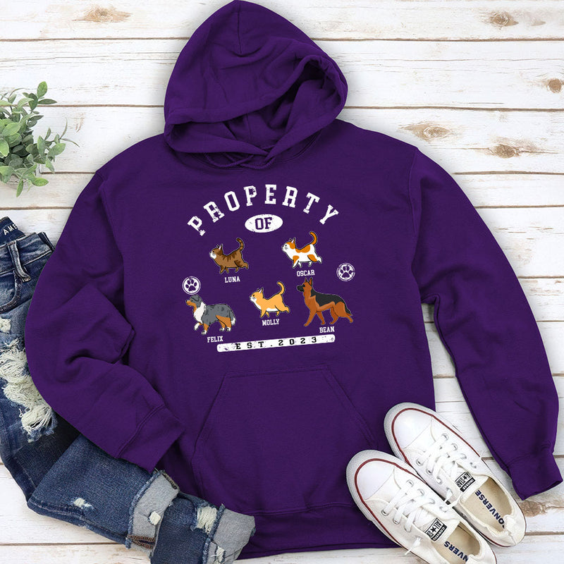 Pet Property - Personalized Custom Hoodie