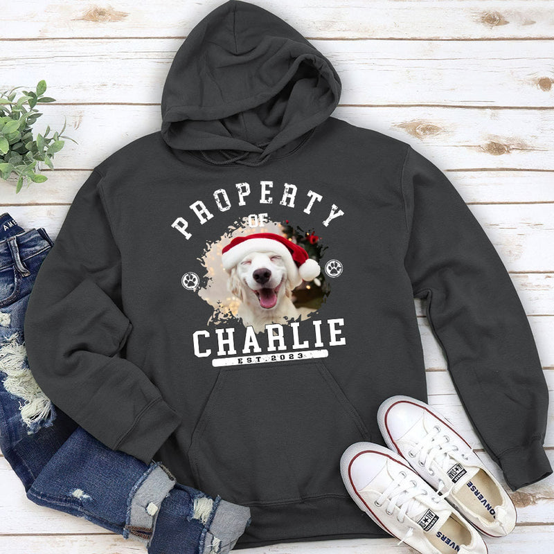 Pet Property - Personalized Custom Hoodie