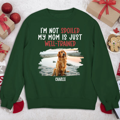Spoiled Dog And Well Trained Dad 2 - Personalized Custom Sweatshirt