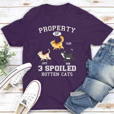 Property Of Rotten Cats - Personalized Custom Premium T-shirt