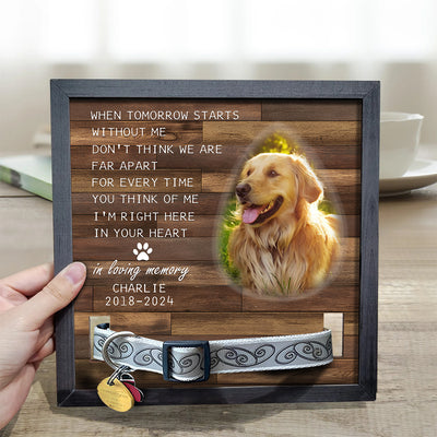 In Loving Memory - Personalized Custom Collar Frame