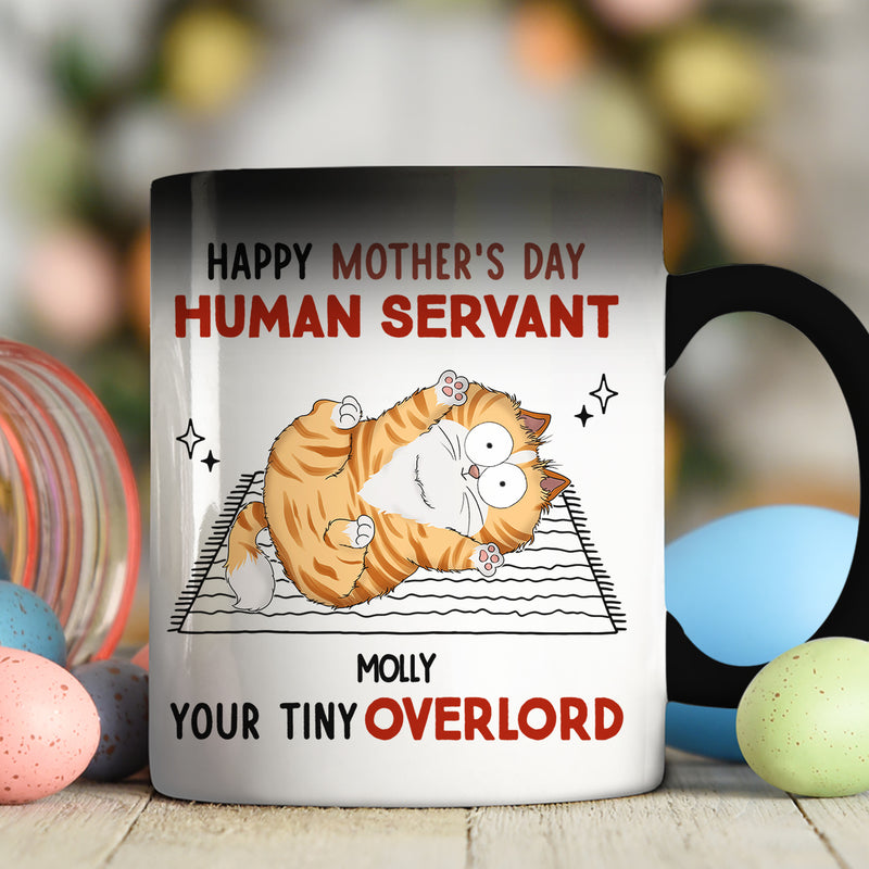 Human Servant Your Tiny Overlords - Personalized Custom Color Changing Mug