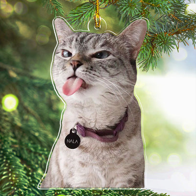 Custom Photo Funny Pet - Personalized Custom Acrylic Ornament