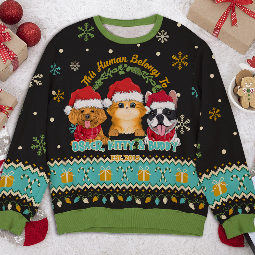 Human Belongs Christmas Custom Pet Lover Personalized Snowing Jumper Ugly Sweatshirt