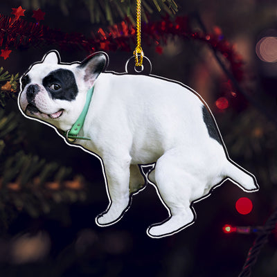 Custom Photo Funny Pet - Personalized Custom Acrylic Ornament