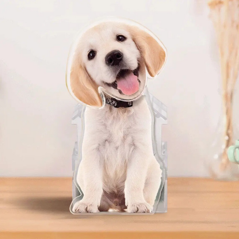 Custom Pet - Personalized Custom Shaking Head Standee