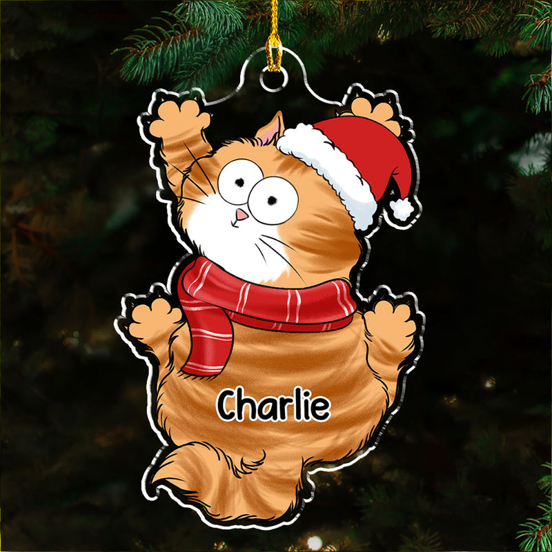 Funny Scratching - Personalized Custom Acrylic Ornament