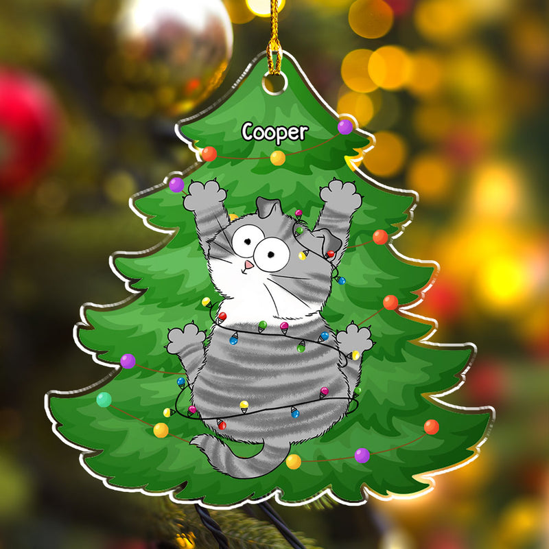 Meowy Scratching - Personalized Custom Acrylic Ornament