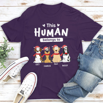 Belongs To Pets Christmas - Personalized Custom Premium T-shirt