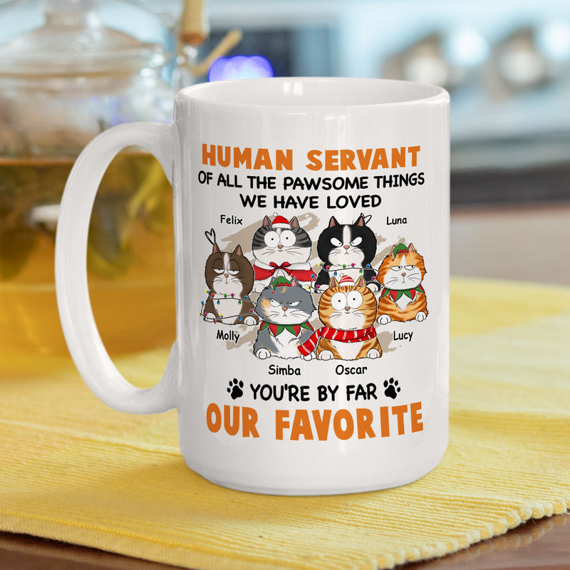 Favorite Human Servant - Personalized Custom Coffee Mug
