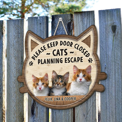 Cats Planning Escape Photo - Personalized Custom Wood Sign