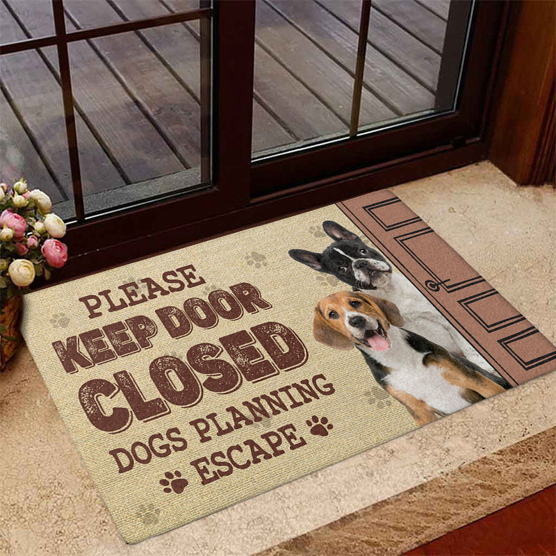 Cat Planning Photo - Personalized Custom Doormat