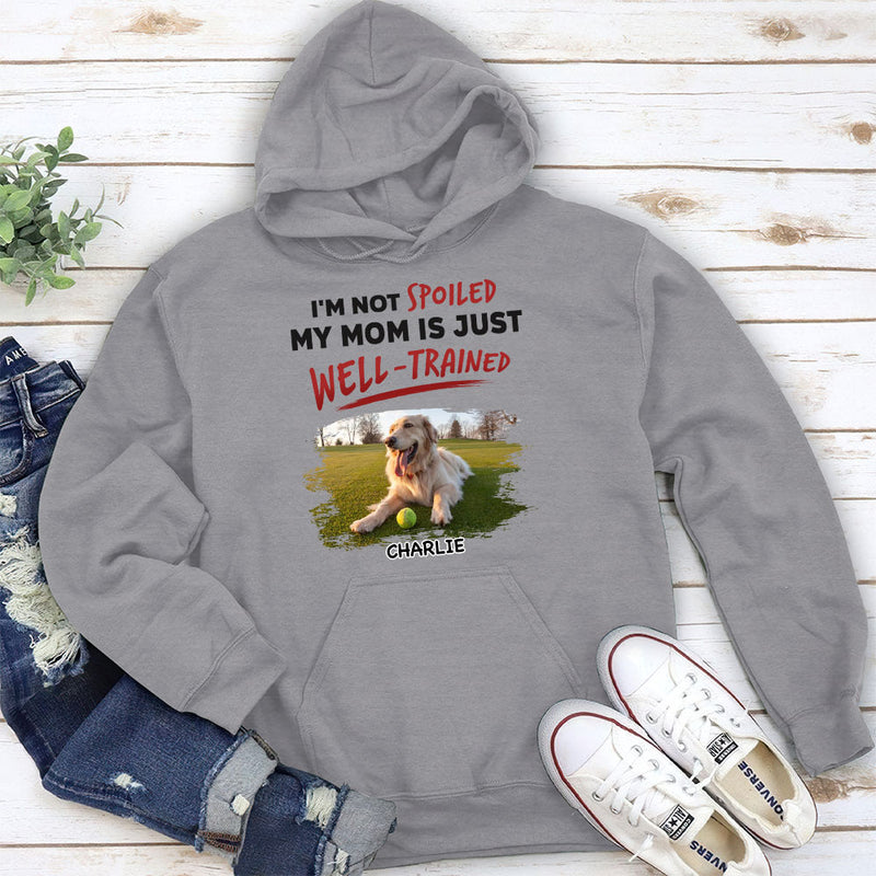 Our Dad Is Just Well Trained - Personalized Custom Hoodie