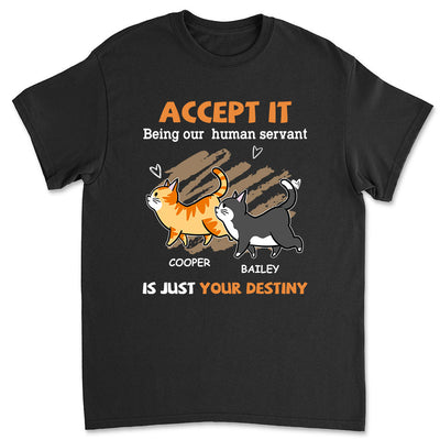 Your Destiny - Personalized Custom Unisex T-shirt