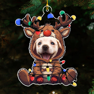 Reindeer Pet Christmas Custom Photo - Personalized Custom Acrylic Ornament