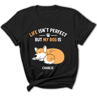 My Dog Is Perfect - Personalized Custom Women's T-shirt