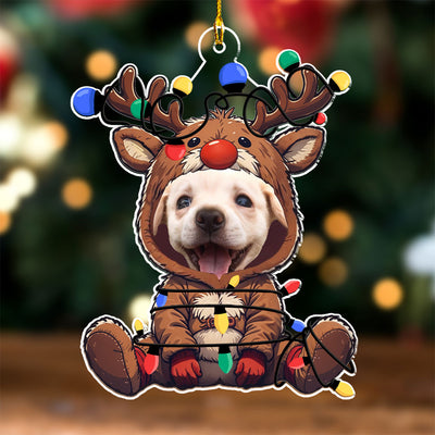 Reindeer Pet Christmas Custom Photo - Personalized Custom Acrylic Ornament