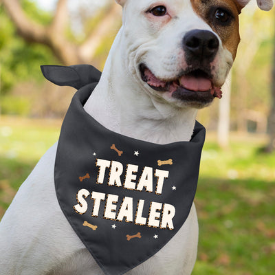 Treat Stealer - Dog Bandana