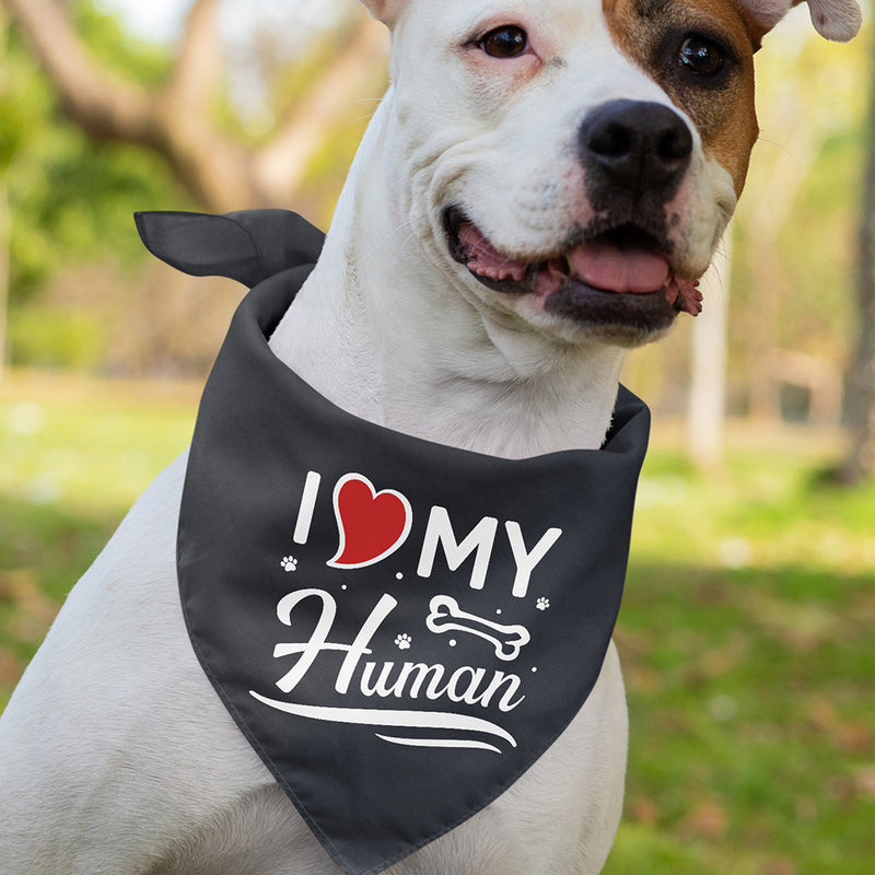 I Love My Human - Dog Bandana
